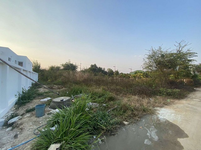 ขายที่ดินเปล่า 104ตรว. 890,000บ. ถนนคอนกรีต ถมดิน น้ำ ไฟฟ้า ต.หนองแหย่ง อ.สันทราย เชียงใหม่ขายที่ดินเปล่า เนื้อที่ 104 ตรว. ที่ถมแล้ว มีไฟฟ้า ประปา ถนนคอนกรีต 2 เลนขายเพียง 890,000 บาท ค่าโอนคนละครึ่ง เหมาะสำหรับปลูกบ้านเพื่ออยู่อาศัย ไม่ไกลจากแหล่งชุมชน การเดินทางสะดวกสบายพิกัด : ต.หนองแหย่ง อ.สันทราย จ.เชียงใหม่สถานที่ใกล้เคียงรพ.ดอยสะเก็ด 13 นาที (8.5 กม.)ม.แม่โจ้ 17 นาที (11 กม.)ตล