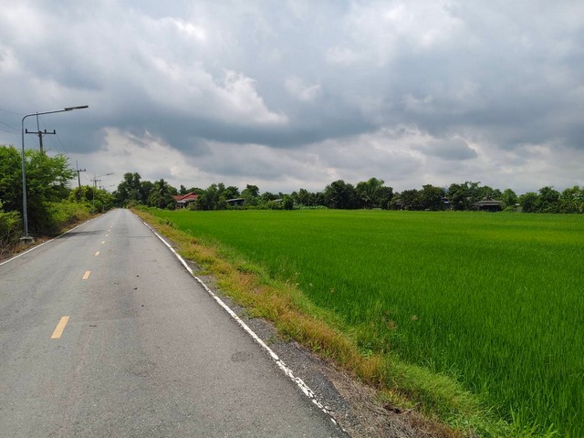 ขายที่ดิน2 ไร่ ใกล้มหาวิทยาลัยศรีนครินทรวิโรฒองครักษ์ มศว คลอง16 องครักษ์ขายที่ดิน2ไร่ ติดถนนลาดยาง ใกล้อบต องครักษ์ ใกล้มหาลัย  คลอง 16 ทำเลดี เหมาะค้าขาย เหมาะทำอพาร์ทเม้นท์ อยู่ใกล้มศวที่ตั้ง : ตำบลองครักษ์ อำเภอองครักษ์ นครนายก 26120เนื้อที่ 2-0-08 ไร่ มี 1 โฉนด -  กว้าง 33 ม. -  ลึก 95.81 ม.ลักษณะ: เป็นที่ดินที่ติดถนนลาดยาง เป็นถนนสาธารณประโยชน์ ปัจจุบันนี้เป็นที่ทำนา - มีไฟ