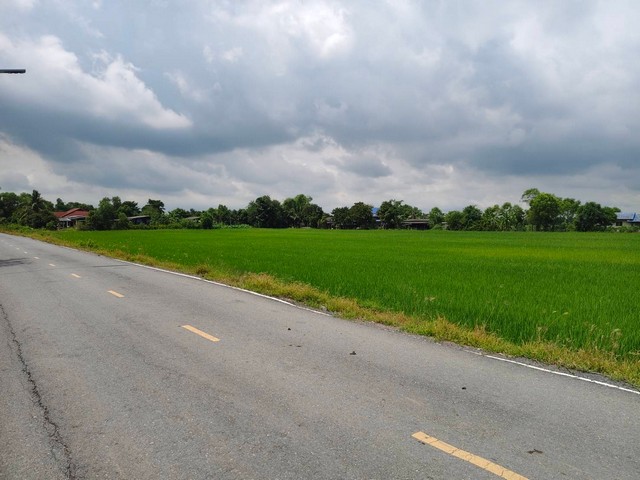 ขายที่ดิน2ไร่ ติดถนนลาดยาง ใกล้อบต องครักษ์ ใกล้มหาลัย  คลอง 16 ทำเลดี เหมาะค้าขาย เหมาะทำอพาร์ทเม้นท์ อยู่ใกล้มศว