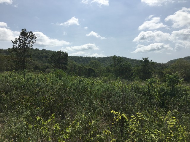 ที่ดิน 13 ไร่กว่า ตรงข้ามสนามกีฬาBIG BOOM FARM และใกล้สวนน้ำ