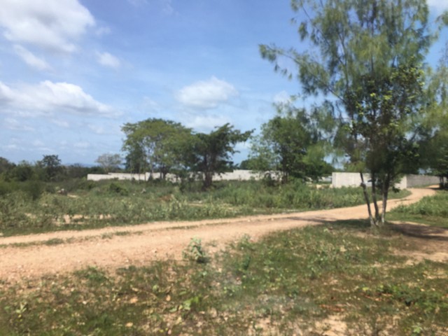 ที่ดิน 13 ไร่กว่า ตรงข้ามสนามกีฬาBIG BOOM FARM และใกล้สวนน้ำ