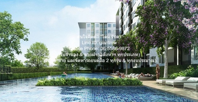 ให้เช่าด่วน! Condominium The Parkland Ngamwongwan - Khae Rai พ.ท. 32 Square Meter 1 นอน 1 ห้องน้ำ 8000 บ.   ราคานี้คุ้มยิ่งกว่าคุ้ม
