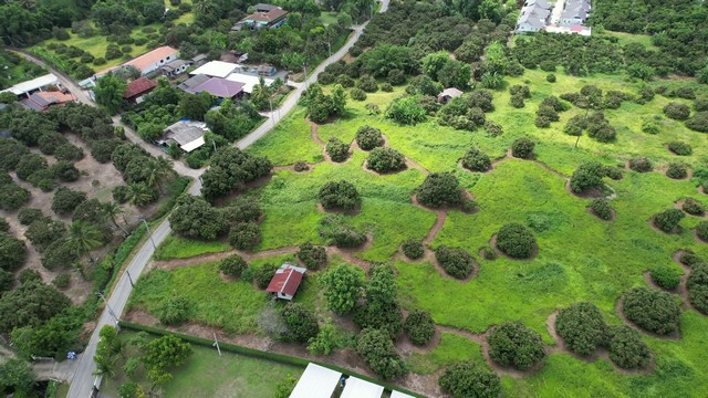 ขายที่ดิน 8 ไร่ บ้านสันกลาง ดอนแก้ว สารภี เชียงใหม่