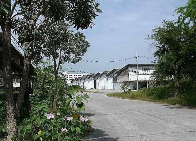 ช่าโกดังคลังสินค้า 698 ตารางเมตร ติดถนนใหญ่พร้อมใช้งาน  อำเภอบางประกง  จังหวัดฉะเชิงเทรา