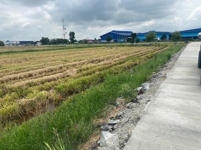 ขายที่ดิน เนื้อที่ 5-40 ไร่ ถมที่ดินเสมอถนนให้ฟรี ถ.คลองอุดมชลจร อ.ฉะเชิงเทรา ( เขต EEC )