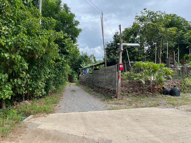 ขายที่ดิน 7 ไร่ ใกล้เชียงใหม่  วิวิภูเขา ยกแปลง 1.5 ล้าน