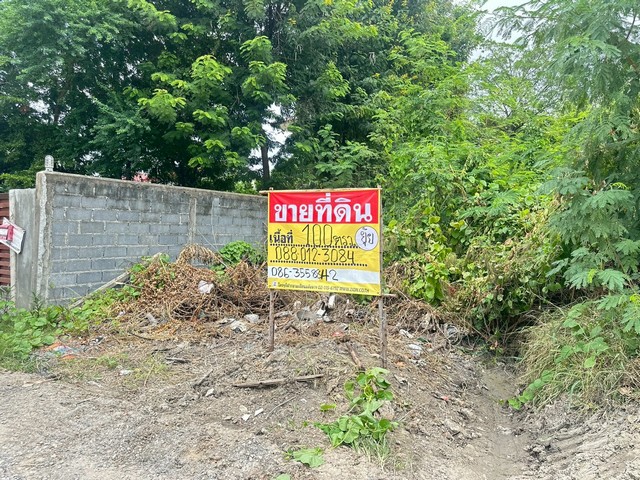 ขายที่ดิน ซอยจ่าโสด 20 เนื้อที่  100 ตารางวา  ซอยเพี้ยนพิน   บางนา  พระโขนง  กรุงเทพ