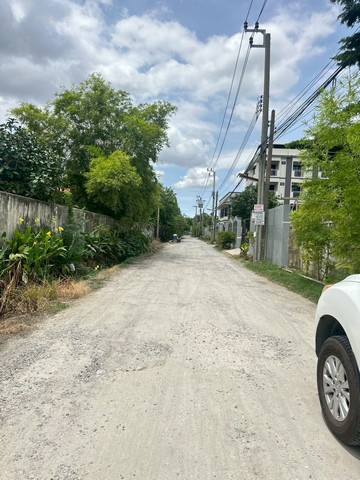 ขายที่ดิน ซอยจ่าโสด 20 เนื้อที่  100 ตารางวา  ซอยเพี้ยนพิน   บางนา  พระโขนง  กรุงเทพ