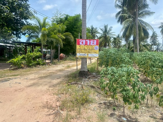 ขายที่ดิน  3-1-22 ไร่  ซอยโป่งกลาง5  ต.โป่ง อ.บางละมุง   ชลบุรี