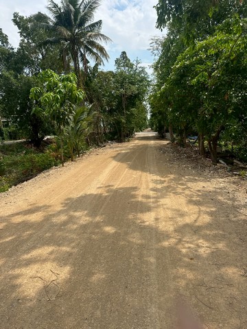 ขายที่ดิน คลอง4  เนื้อที่ 16-1-6 ไร่  คลองหลวง  ปทุมธานี