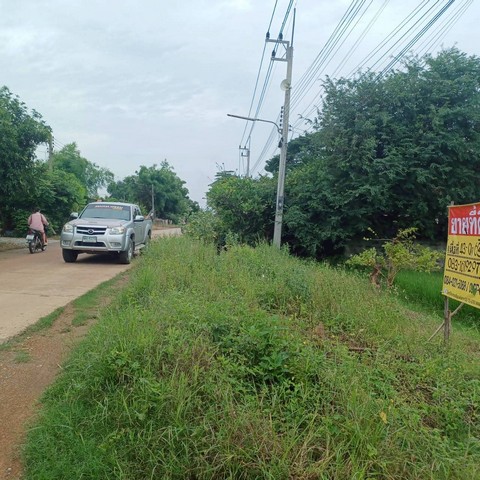 ขายที่นาราคาถูก   43-0-65 ไร่  ใกล้ อบต.บ้านกร่าง  เมืองพิษณุโลก   ZK507