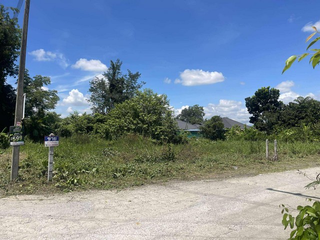 ขายที่ดินติดลำเหมือง แปลงมุม 2 โฉนดที่ดินตั้งอยู่ที่ บ้านสันต้นม่วงเหนือ เข้าได้หลายทางต.สำราญราษฏร์ อ.ดอยสะเก็ด เชียงใหม่เนื้อที่ 113 ตารางวาแปลง 1 เนื้อที่  60 ตร.ว ติดถนน 2 ด้าน  แปลง 2 เนื้อที่ 53 ตร.ว ยกแปลง ลดเหลือ 650,000 บาท ค่าใช้จ่ายวันโอนคนละครึ่ง  แปลงเล็กติดถนนสองด้าน หันหน้าทางทิศเหนือ ด้านข้างทิศตะวันตก ติดลำเหมือง ไฟฟ้าน้ำถึง ทำบ้านขายได้ 2 หลัง หรือซื้อเก