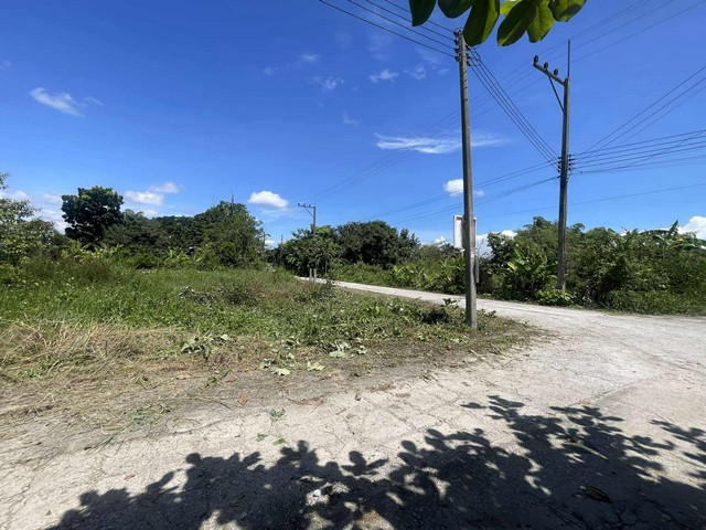 ขายที่ดิน 2 แปลง 2โฉนด ทำบ้านขายได้มีน้ำไฟติดลำเหมืองอ.ดอยสะเก็ด