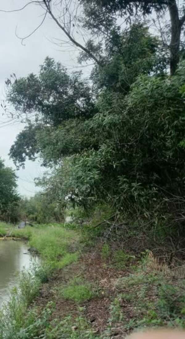 ขายด่วนทีดินเปล่า ขนาด1ไร่ตำบล บ้านแถว อำเภอเสนา จังหวัดพระนครศรีอยุธยา