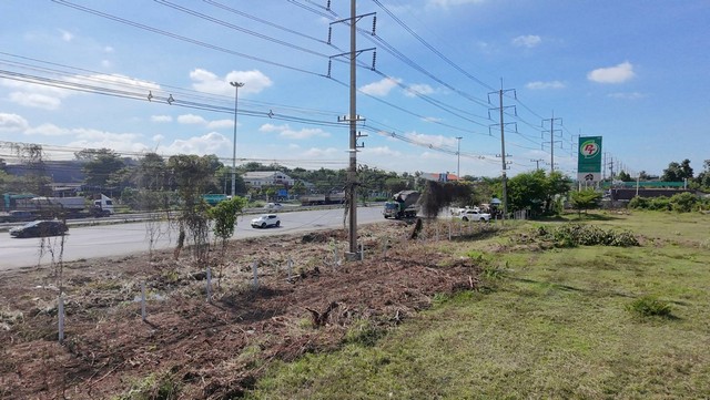 ขายที่ดิน13ไร่เมืองสระบุรีติดพหลโยธิน1ติดปั๊มpttสามชายดาวเรืองเมืองสระบุรี