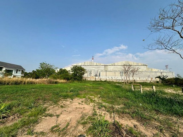 TEL:088-559 5199 คุณเอLine:https://line.me/ti/p/C0eGe0whLXขายที่ดินเปล่า ในโครงการปัญญารีสอร์ท ที่ดินใจกลางเมือง วิวธรรมชาติโครงการปัญญารีสอร์ท ศรีราชา บางพระ ชลบุรี ราคาทั้งหมดที่  9,225,000 บาท(ต่อรองได้!!)ราคา 25,000 บาท/ตรว.ราคาดีมากกกกก!! ถูกใจต่อรองได้นิดหน่อยครับค่าโอน 50/50เนื้อที่  369 ตารางวาที่ดินเป็นสี่เหลี่ยมผืนผ้าหน้ากว้าง  24 เมตร - ลึก 63 เมตร- อยู่ซอย 7/3 - ที่ดินไม่ติดน้ำ !จุดเด่น- เป็นโครงการหมู