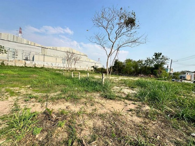 ขายที่ดินเปล่า ที่ดินสวย ในโครงการปัญญารีสอร์ท รีราชา บางพระ TP-L1604