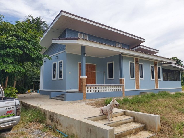 ขายด่วน ขายบ้าน 2 หลัง พร้อมที่ดิน  รวม 379 ตารางวา ปรับราคาลง 20 หมู่ 6 ต.บ้านป่า อ.เมือง จ.พิษณุโลก