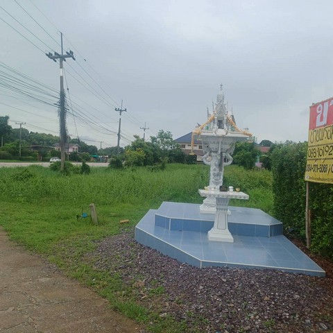 ขายบ้านพร้อมที่ดินราคาถูก ทำเลดี  173 วา  ติดถนนสายหลัก พิษณุโลก-พรหมพิราม บ้านทองหลาง   เมืองพิษณุโลก