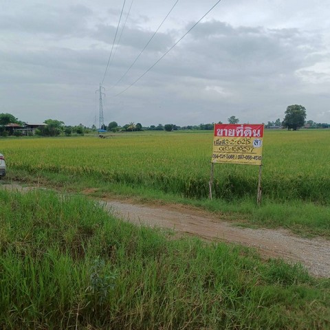 ขายที่ดินราคาถูก ทำเลดี   3-2-62 ไร่  บ้านกร่าง ม.7   เมืองพิษณุโลก  ZK509