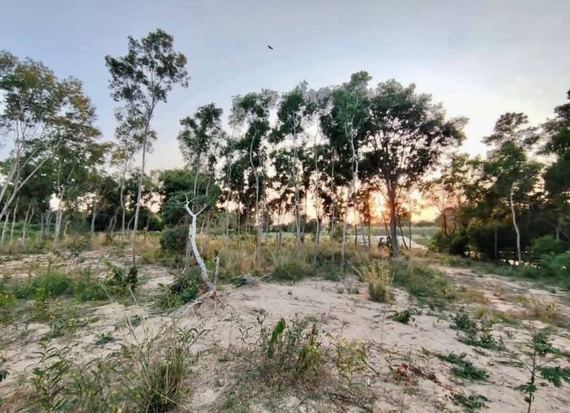 ขายที่ดินแปลงสวย ใกล้ถนนสุขุมวิท กระทิงลาย-พัทยา ชลบุรี FP-L01140 