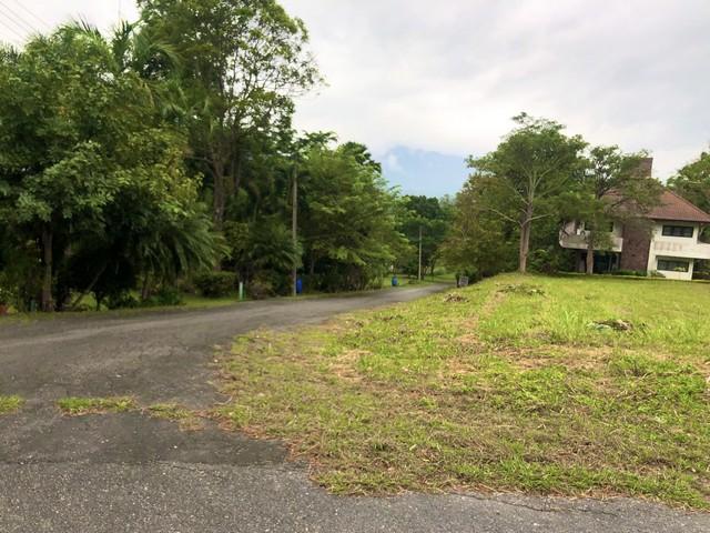 ขายที่ดิน 470 ตร.ว. แปลงมุม ในสนามกอล์ฟเซอร์เจมส์คันทรีคลับ Forest Hill มวกเหล็ก สระบุรี