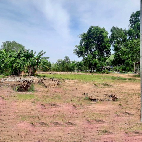 ขายที่ดินบนถนนชนบท 4024  ขนาด 2 ไร่ 29 ตารางวาตำบลรัตภูมิ อำเภอควนเนียง จังหวัดสงขลา