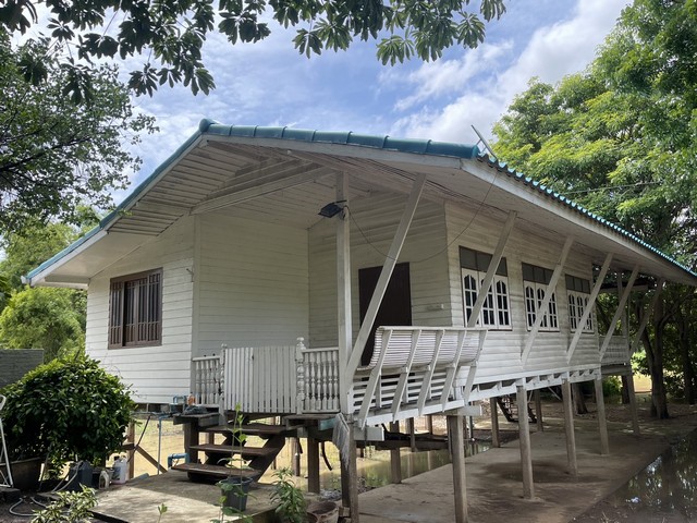 บ้านพร้อมที่ดิน 500 ตารางวา บ้านยกสูง รีโนเวทแล้ว ตำบลหัวเวียง อำเภอเสนา อยุธยา