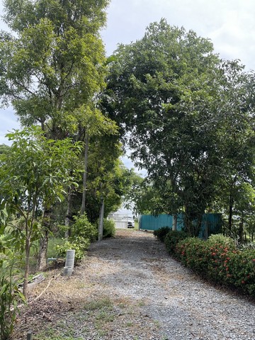 บ้านพร้อมที่ดิน 500 ตารางวา บ้านยกสูง รีโนเวทแล้ว ตำบลหัวเวียง อำเภอเสนา อยุธยา