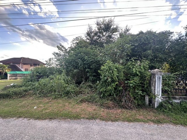 ประกาศขายที่ดินเปล่าใน อำเภอเถิน จังหวัดลำปางติดถนนสายหลักๆในตัวอำเภอ ตำบลล้อมแรด อำเภเถิน จังหวัดลำปาง