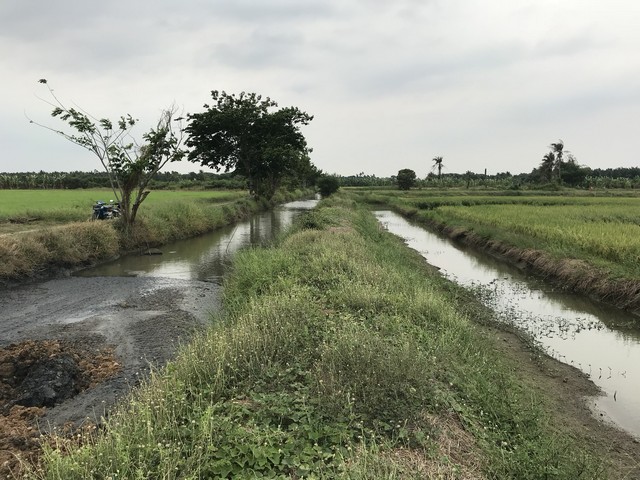 ที่ดิน 2 แปลงติดกัน รวม 7 ไร่ ตำบล นครปฐม อำเภอ นครปฐม จ.นครปฐม