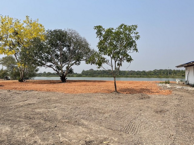 ขายที่ดินริมแม่น้ำบางปะกง อำเภอบ้านสร้าง จังหวัดปราจีนบุรี เนื้อที่ 7 ไร่ 62 ตารางวา