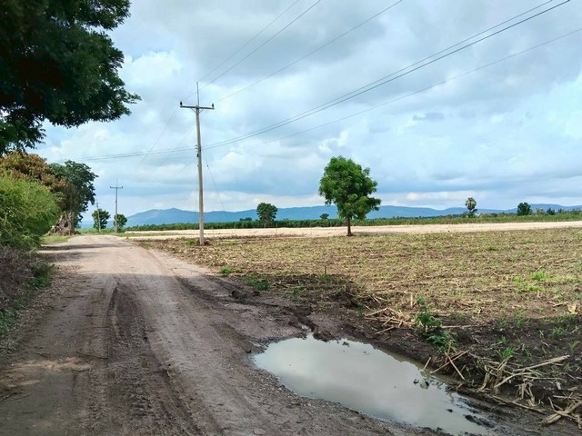 ขายที่ดิน อำเภอปากช่อง เขาใหญ่ จ.นครราชสีมา ถ.มิตรภาพ 5 กม. ที่ดินธรรมชาติ วิวเขา อากาศดี