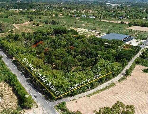 TEL:088-559 5199 คุณเอLine:https://line.me/ti/p/C0eGe0whLXขายที่ดินทำเลทอง บางละมุง จ.ชลบุรี (พื้นที่สีเหลือง)ราคาเพียงไร่ละ 6 ล้านบาทราคาโดยรวม 29,322,000 บาท(โอนคนละครึ่ง 50/50)ขนาด 4 ไร่ 3 งาน 54.8 ตร.ว. (โฉนดครุฑแดง)ติดถนน 2 ด้าน เดินทางสะดวกน้ำ-ไฟฟ้าพร้อม เข้าใช้ได้ทันทีจุดเด่นที่ดินด้านหน้าติดถนนสันติคาม กว้าง 82.3 เมตรด้านข้างติดถนนทางหลวงชนบท 95 เมตรพื้นที่ด้านในจัดเป็นสวนออแกนิค มีทั้งมะม่วงหิมพานต์ 