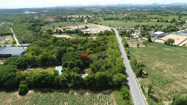 ที่ดินสีเหลือง บางละมุง พัทยา ชลบุรี 4 ไร่ เหมาะทำรีสอร์ท บ้านจัดสรร TP-L1618