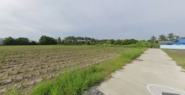 ขายที่ดินหลักจตุจักรชลบุรี แปลงสวย ทำเลดี ใกล้แหล่งชุมชน FP-L01152