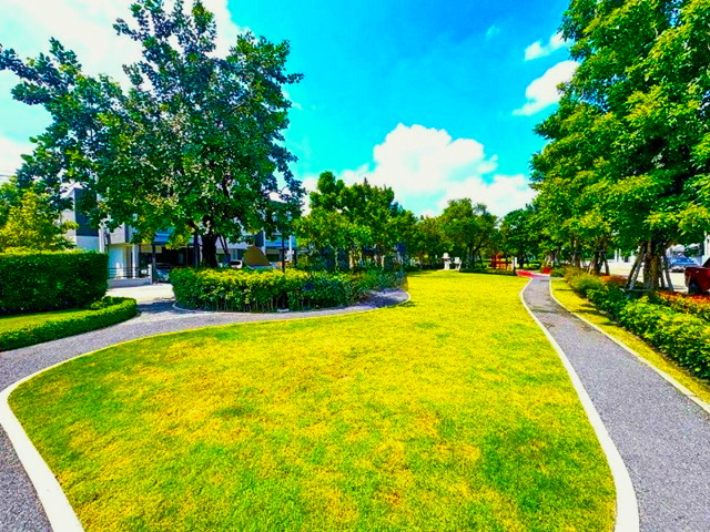 ติดเมกาบางนา  นานาชาติสิงคโปร์1.8 กม.ทำเลดี พลีโน่ สุขุมวิท-บางนา  ให้เช่าทาวน์โฮมพรีเมียม 2 ชั้นทำเลดี  ช้อปปิ้ง  v