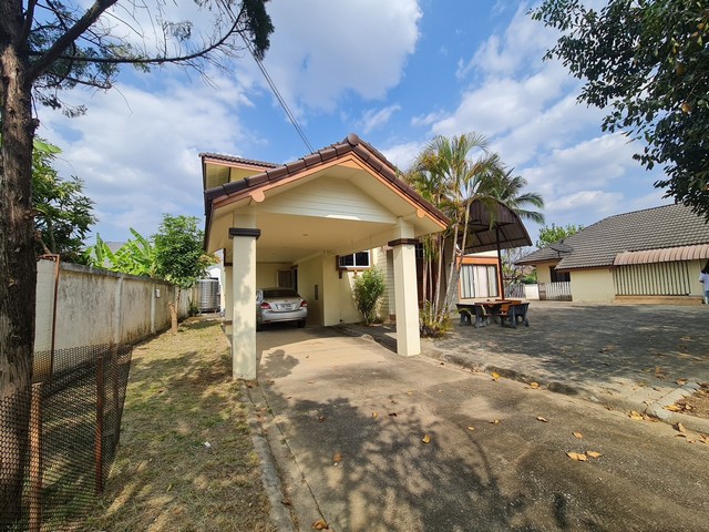 บ้านเดี่ยว 2 ชั้น 3 หลัง ในพื้นที่เดียวกัน 218.7 ตร.วา ม.กรีนปาร์ค ต.ป่าสัก อำเภอเมืองลำพูน ลำพูน