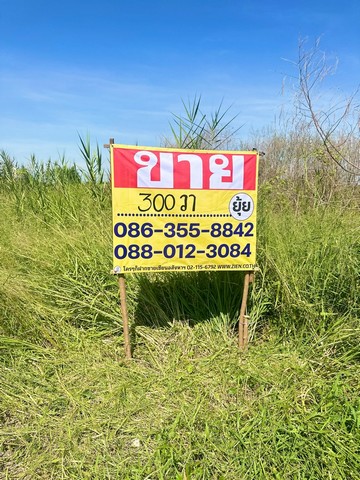 ขายที่ดิน 300 ตารางวา  คูบางหลวง  ลาดหลุมแก้ว   ปทุมธานี 
