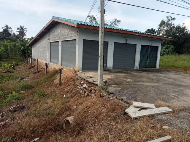 ที่ดินติดถนนหัวสะพานเขากอบหน้า เนื้อที่ 76 ตารางวา ต เขากอบ อ ห้วยยอด จ ตรัง 