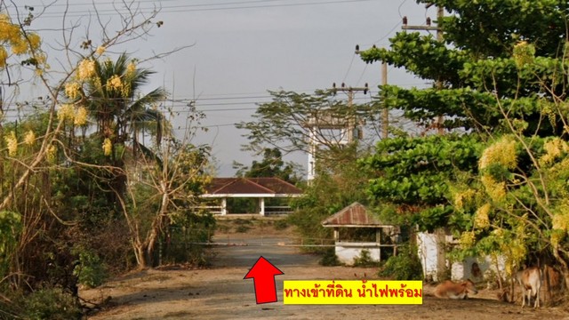 ขายที่ดิน 1 ไร่ 24 ตร.ว. ต.ต้นมะพร้าว อ.เมืองเพชรบุรี - ทำเลดี ใกล้ถนนเพชรเกษม และอุทยานแห่งชาติแก่งกระจาน