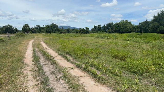 ขายที่ดินสวยสำนักบกชลบุรีราคาถูก ขายที่ดินราคาเจ้าของ พื้นที่สีเหลือง บนพื้นที่  51ไร่