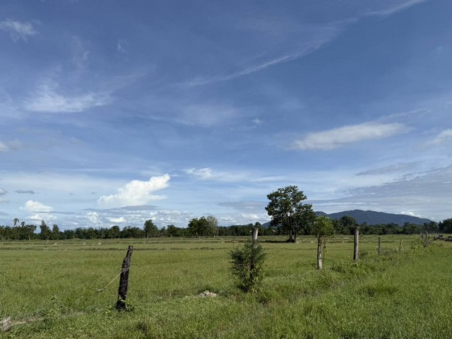 ขายที่ดินสวยสำนักบกชลบุรีราคาถูก ขายที่ดินราคาเจ้าของ พื้นที่สีเหลือง บนพื้นที่  51ไร่