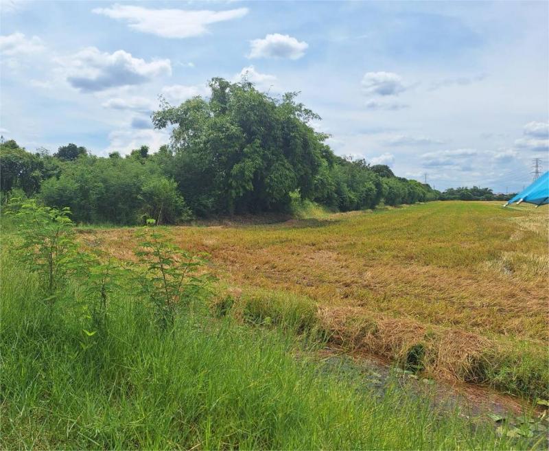 ที่ดินเปล่า 10-1-25 ไร่ ใกล้ ม.เกษตร กำแพงแสน จ.นครปฐม