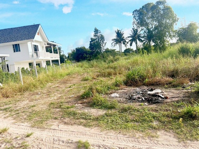 ขายที่ดินวิวเขาศรีราชาชลบุรีบนพื้นที่  200  ตารางวาทำเลวิวเขาบรรยากาศดีอยู่ในแหล่งความเจริญพื้นที่ดินค่อนข้างสูง