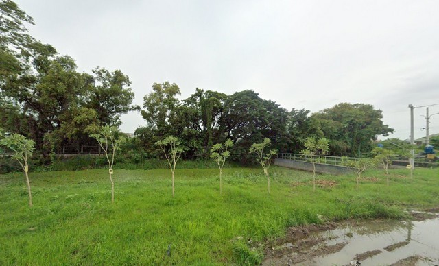 ให้เช่าที่ดิน ในนิคมอุตสาหกรรมลาดกระบัง อยู่ในโซน 3 เพื่อการส่งออก (Free Zone)เนื้อที่ 5 ไร่ 3 งาน 66 ตารางวา