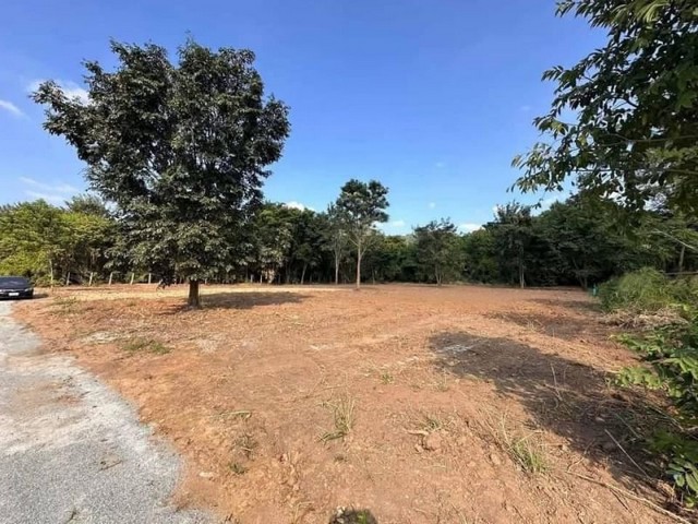 ขายที่ดินเปล่าบางพระ ศรีราชา ฮวงจุ้ยดี หลังเขา หน้าเห็นวิวทะเล FP-L01175