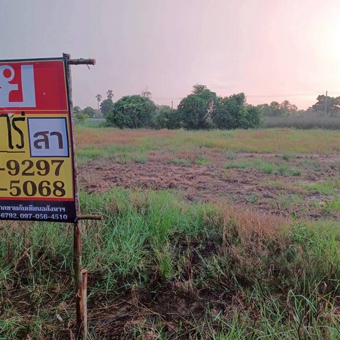 ขายที่ดินจัดสรร  พร้อมสร้างบ้าน ราคาถูก เนื้อที่  2-1-88 ไร่  บ้านปากโทก  เมืองพิษณุโลก  ZK539