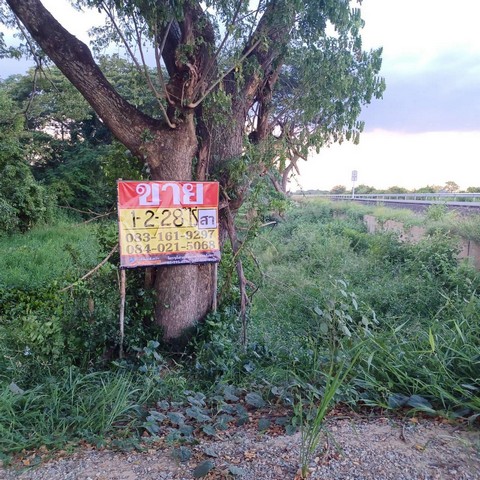 ขายที่นาสวย 1-2-28 ไร่  ติดคลองชนประทาน  บ้านท่าตะเคียน  จอมทอง  เมืองพิษณุโลก  ZK533