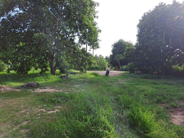 ขายที่ดินเปล่า 21-1-60 ไร่  ใจกลางชุมชน  พยุหะคีรี  นครสวรรค์   ZK535